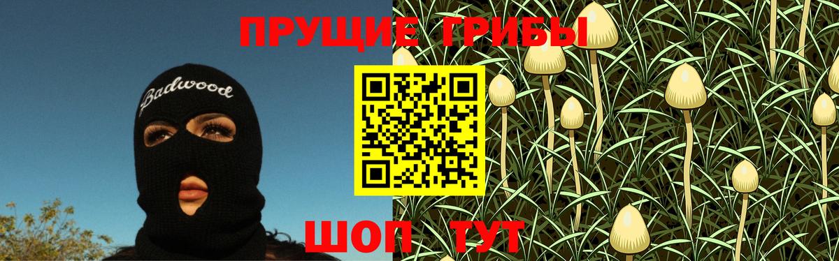 Псилоцибиновые грибы мухоморы Кулебаки